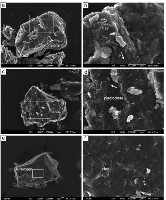 Fig. 4. SEM images of feldspars in Asian dust. (a), (b) Angular albite grain coated with thin layers of  submicron irregular platelets of clay minerals and calcite nanofibers (arrow)