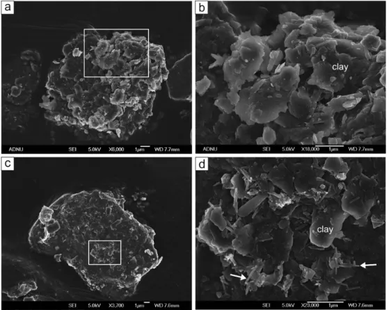 Fig. 7. SEM images of the particles of clay aggregate in Asian dust. (a), (b) Aggregate of illitic clay minerals.