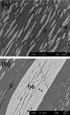 Fig. 1. Back scattered electron images of the ex- ex-soluted ilmenite and hematite by EPMA