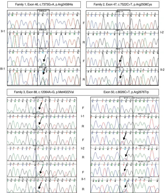 Fig. 2. DNA sequencing of the entire coding region of the RYR1 gene, in which c.7373CGC>CAC* in exon 46 (from family 1); c.7522CGT>