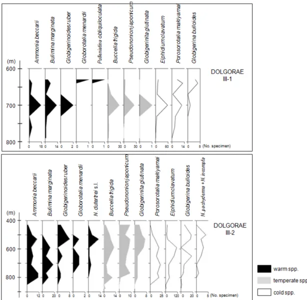 Fig. 7. Variations of paleotemperature indicator species in the upper part of the wells Dolgorae III-1 and Dolgorae III-2  (N, Neogloboquadrina; N