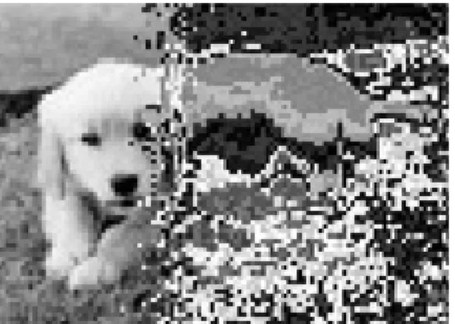 Fig.  12.  QPSK  demodulation  image