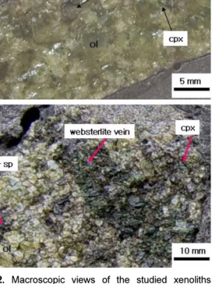 Table 1. Modal composition and lithology of the studied mantle xenoliths from Jeju Island