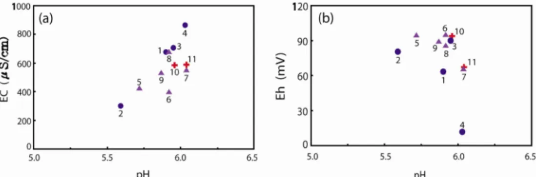 Fig. 2. Relation between pH and Eh (and EC) of carbonated mineral waters from the study areas
