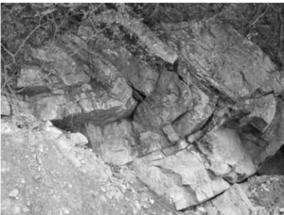 Fig. 7. Recumbent fold in black sandstone.