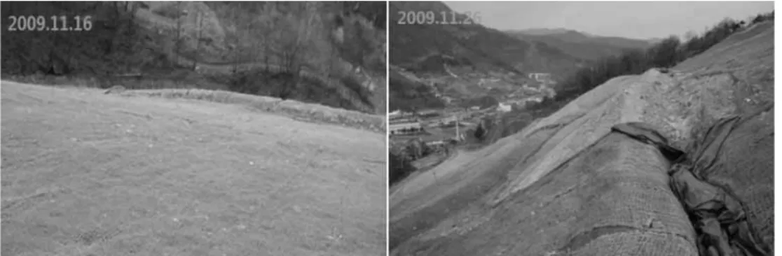 Fig. 21. Deformation of gabion walls.