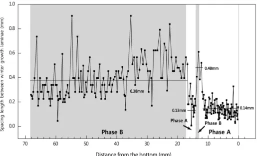 Fig. 5. Annual spacing variations of growth laminae in YC-02 stalagmite. Note relatively larger spacing lengths in  Phase B.