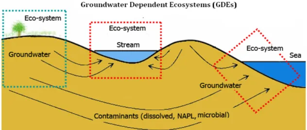 Fig. 1. Schematic diagram of groundwater dependent ecosystems.