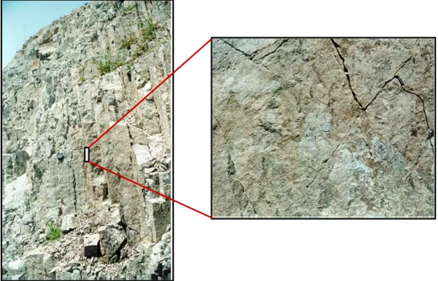 Fig. 8. Related fault distribution map and analytical  strain ellipse.