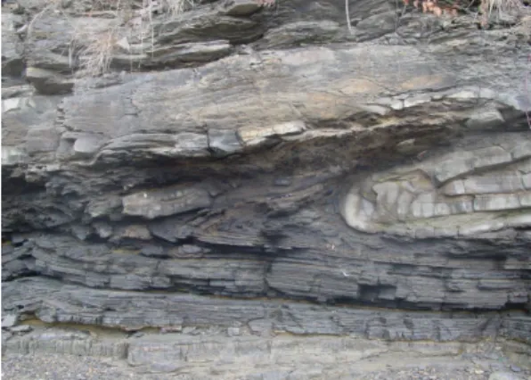Fig. 10. Normal fault (a) which is E-W trending and N-S to NNE-SSW trending thrust (b).