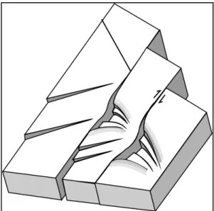 Fig. 14. Schematic block diagram of the wedge basin implicated the Kyokpo basin (not scale).