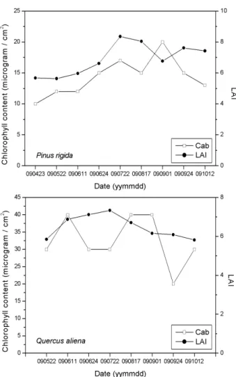 Figure 4. Change of canopy water content (Cw) and LAI  by time series measurement and simulation