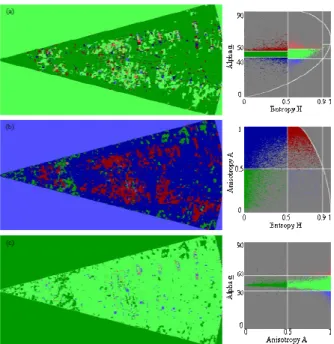 Figure 5. Unsupervised segmentation of the test site  image using the 3-dimenstion H/A/alpha space: (a)  H/alpha, (b) H/A, and (c) A/alpha results