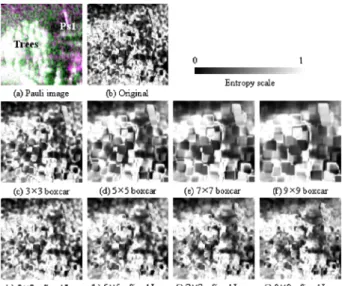Figure 7. Speckle filtering effect on the entropy (H)  values: (a) Pauli image, (b) entropy from the original  (1×4 multilook), (c) to (f) entropy from the boxcar filter,  and (g) to (j) entropy from the refined Lee filter