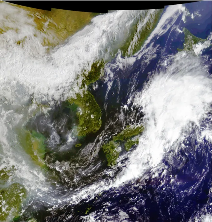 Figure 1. GOCI pseudo-colour RGB composite image using GOCI bands 1, 4 and 6, generated from the GOCI Level  1B test result acquired on September 16, 2010