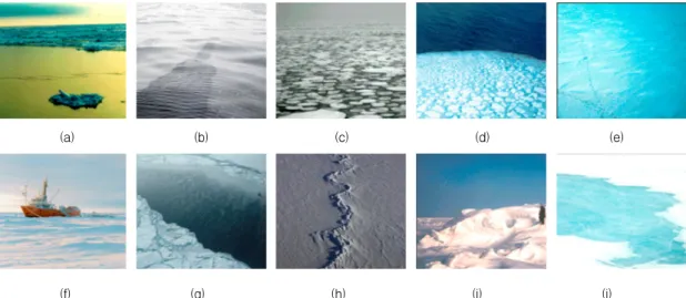 그림  1  Sea  ice  type  (a)ice  crystal  (b)grease  ice  (c)  pancake  ice  (d)  pan  (e)  first-year  ice  (f)  multi-year  ice  (g)  lead  (h)  ice  ridge  (i)  multi-year  hummock  (j)  meltpool