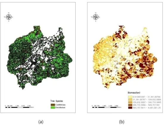 Fig.  2  (a)  Result  of  tree  species  by  segmentation  and  classification,  (b)  Map  for  representing the stand biomass