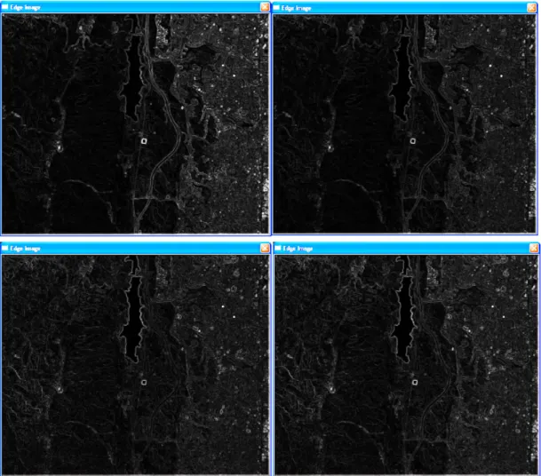 Figure 3. Grayscale results of edge detection using different number of bands: 3 bands (top-left), 5 bands (top-right),  10 bands (bottom-left), and 20 bands (bottom-right)