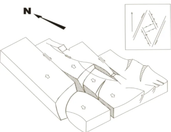Fig.  1)  Schematic  block  diagram  showing  the  structure  in  the  Tertiary  basin 