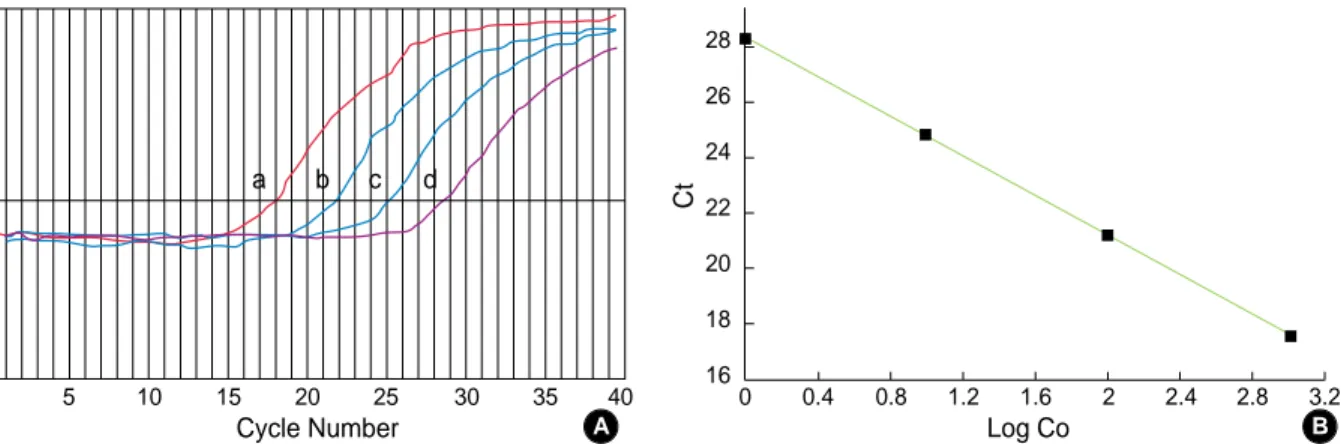 Fig. 1. (A) Generation of an external standard curve for real-time PCR (a: 7×10 -6 , b: 7×10 -7 , c: 7×10 -8 , d: 7×10 -9 ng/ L)