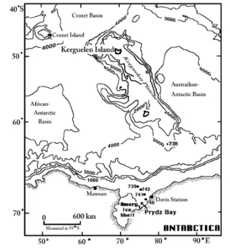 Fig. 1  Floating  sediment  traps  (FSTs)  were  deployed  in  Outer  Prydz  Bay  (Sites  739,  742)  and  Inner  Prydz  Bay  (Sites  740,  741)  during  Ocean  Drilling  Program  (ODP)  Leg  119  in  Jan-Feb  1988