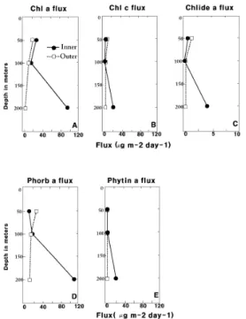 Fig. 6 Relationship  between  depth  of  Euphotic  Zone  (EZ),  Mixed  Layer  (ML),  and  Deep  Chlorophyll  Maximum  (DCM)  in  Prydz  Bay  at  stations  made  on  ODP  Leg  119