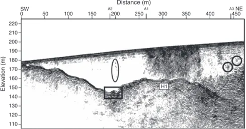Fig. 7. Elevation-corrected depth-migration section of Pro ﬁle S1 after high-cut ﬁltering