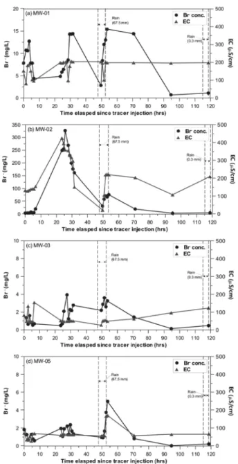 Fig. 5.  Results of the tracer test in the test site #1.