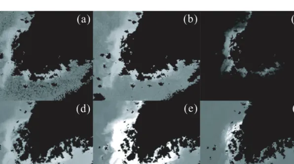 Fig. 5.  Comparison of the water-leaving radiances at three wavelengths of (a &amp; d) 412nm, (b &amp; e) 555nm and (c &amp; f) 865nm retrieved from SeaWiFS imagery (October 23, 1998) using the (a, b, c) SAC and (d, e, f) SSMM algorithms (Shanmugam and Ahn