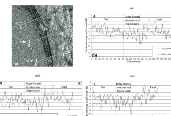 Fig. 3은 Envisat ASAR 영상과 JERS-1 SAR 영상 으로부터 현장조사가 이루어진 site 1, 2, 3에 대한 후방 산란계수를 나타낸 그래프로, 각각 바다(A, B, C)에서부 터 육지(A’ , B’ , C’ )까지의 후방산란계수를 추출한 것이 다