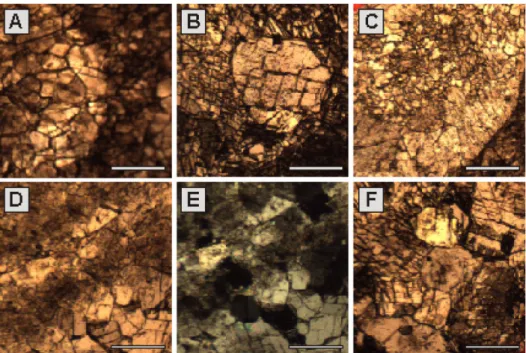 Fig. 5. Microscopic views of the Cairn Formation: (A) Two facies boundary of No. 5-3, (B) three-step cementation of No