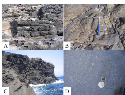 Fig. 3. (Na 2 O+K 2 O) (wt%) vs. SiO 2  (wt%) plot of the subsurface volcanic rock cores from boreholes in the study area, Jeju Island