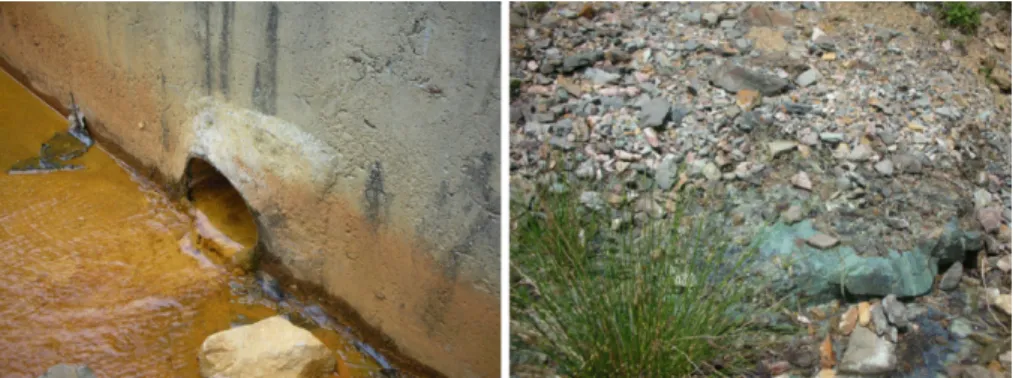Fig. 1. Sampling points of mine and leachate water.