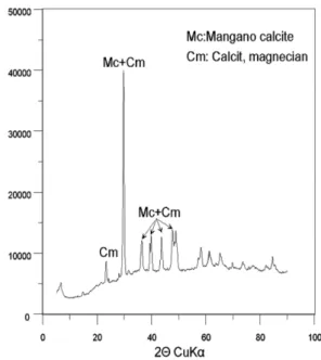 Fig. 7. X-ray diffraction pattern of precipitates from acid mine drainage after reaction with NaOCl.