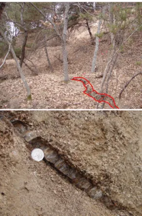 Fig. 1. Tension cracks of slope occurred landslide (above) and quartz and clay veins developed by hydrothermal alteration (below)  (received from Dohwa co., Ltd.).