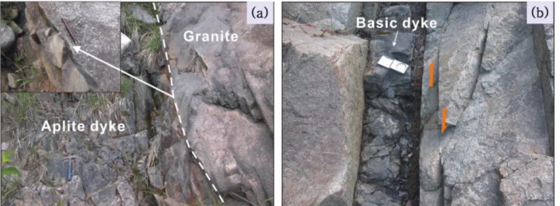 Fig. 2. Occurrence of aplite (a) and basic dyke (b). There are conspicuous diffences of joint density between dyke rock and surrounding and/or contacting granitic rock.