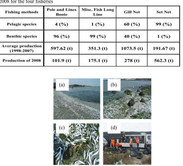 Table 1 The pelagic and benthic species composition and the average production of 1998-2007 and  2008 for the four fisheries 