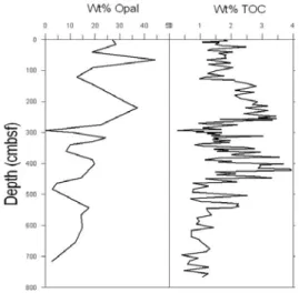 Fig. 12. Comparison of opa-A with total organic  carbon (TOC) for Core 2.