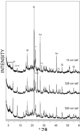 Fig. 2. Representative X-ray powder diffraction pat- pat-terns of the samples from Core 2
