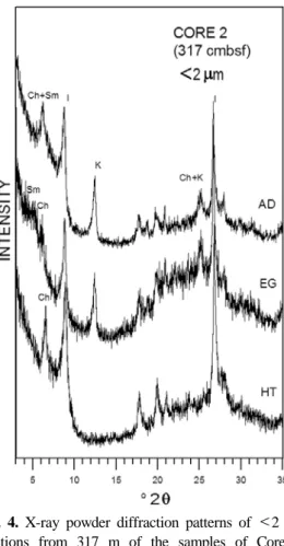 Fig. 4. X-ray powder diffraction patterns of ＜2 µm  fractions from 317 m of the samples of Core 2