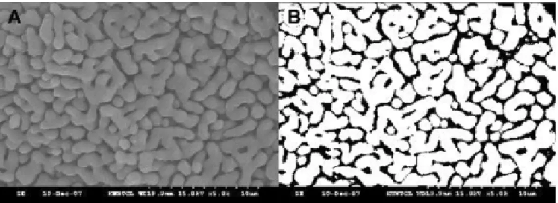 Fig. 1. SEM micrograph (A) and its simplified synthesizing image (B) illustrating the method using image  analysing system for determination of porosity in the quicklime.