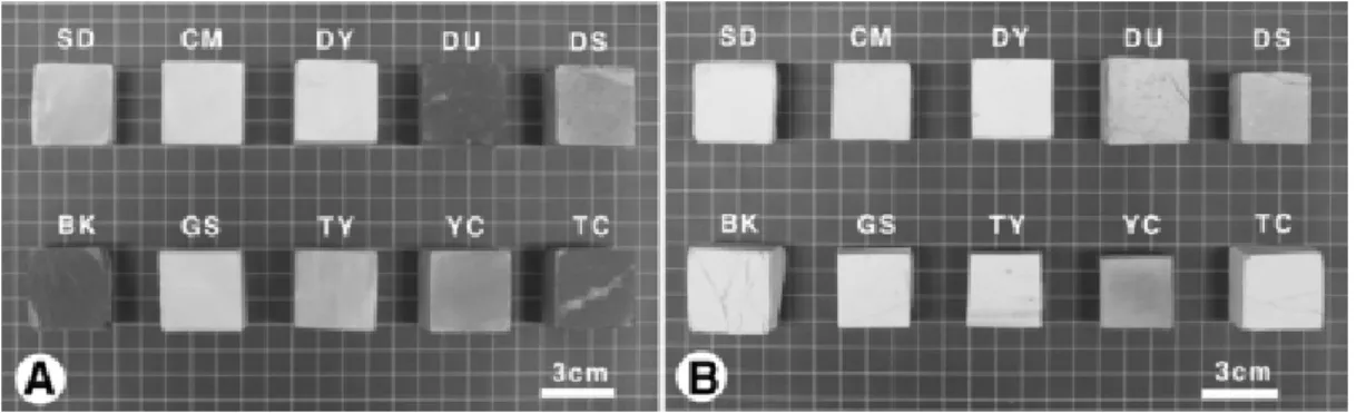 Fig. 6. Physical characters of limestones (A) and their heat-treated samples (B) Abbreviations of samples are the  same as in the Table 1.