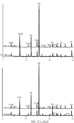 Fig. 1. XRD patterns of tailing samples, NN1, NN7, SN1, and SN8. Cal: calcite, Chl: chlorite, Gy:  gyp-sum, J: jarosite, Mu: muscovite, Q: quartz, Py: pyrite.