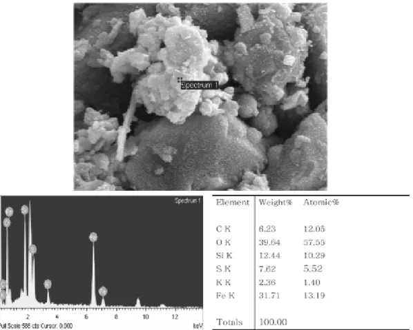 Fig. 2. SEM image and EDS of jarosite at NN7 showing high concentrations of S and Fe. 어 깊이별 차이를 보이는 것으로 보이나 전체적인  중금속들이 비슷한 양상을 보이는 것은 광미에 포 함되어 있는 금속 광물들의 성분이 비슷하기 때문 으로 파악된다