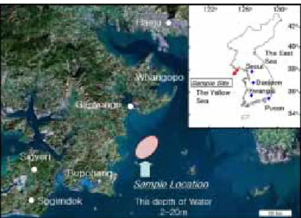 Fig. 1. Sampling site of the marine sand near Haeju  bay.서        론    현재 범세계적으로 자국의 산업발전에 필요한 자원 확보를 위해 보이지 않는 자원전쟁이 지속되고 있다