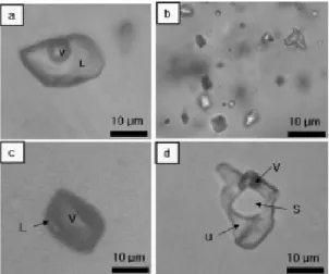 Fig. 7. Homogenization temperatures for type I, II,  and III fluid inclusions. 