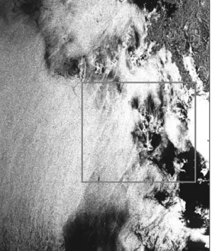 Fig. 2.  Internal waves shown on RADARSAT SAR image (Fig.