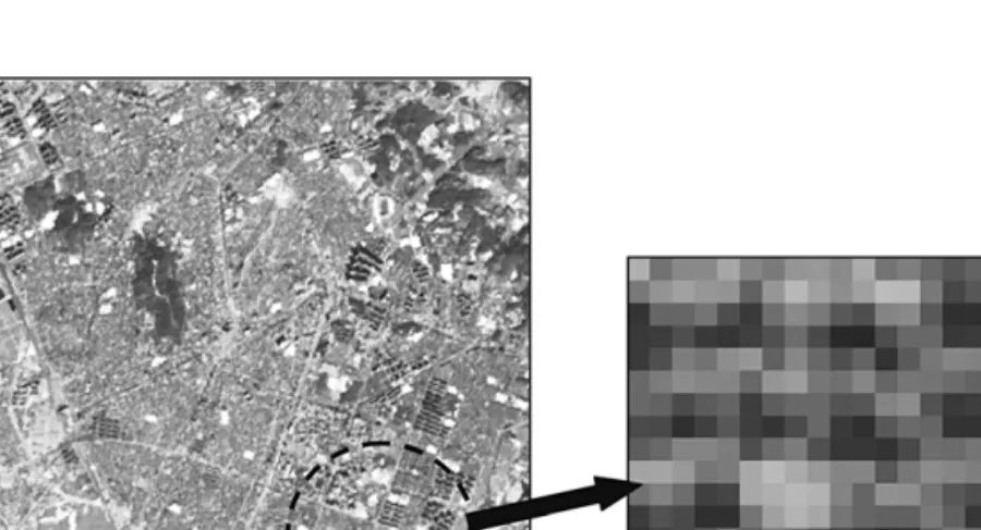Fig. 4.  Urban area composed of complex land covers in the ASTER image.