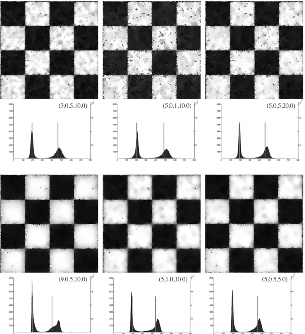 Fig. 2.  Despeckled sub-images and histogram of despeckled data resulted from applying Boundary-adaptive APJI with different sets of three constants of (Order p , h d , t) to simulation data of Pattern A in Fig.1.