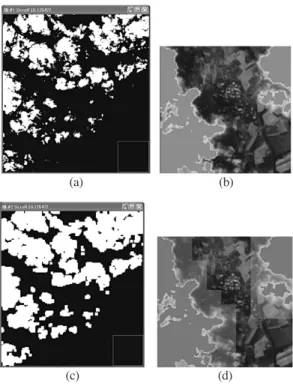 Fig. 5.  (a) KOMPSAT-2 cloudy MS1 image; (b) Histogram of cloudy scene.